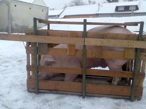 Vepřové hody - 29.12.2006